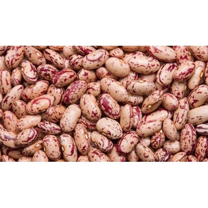 Sugar beans 500g (All Brands)
