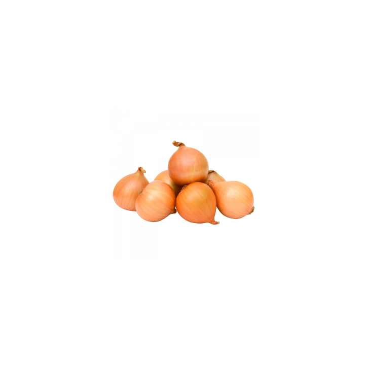 Onion local kg
